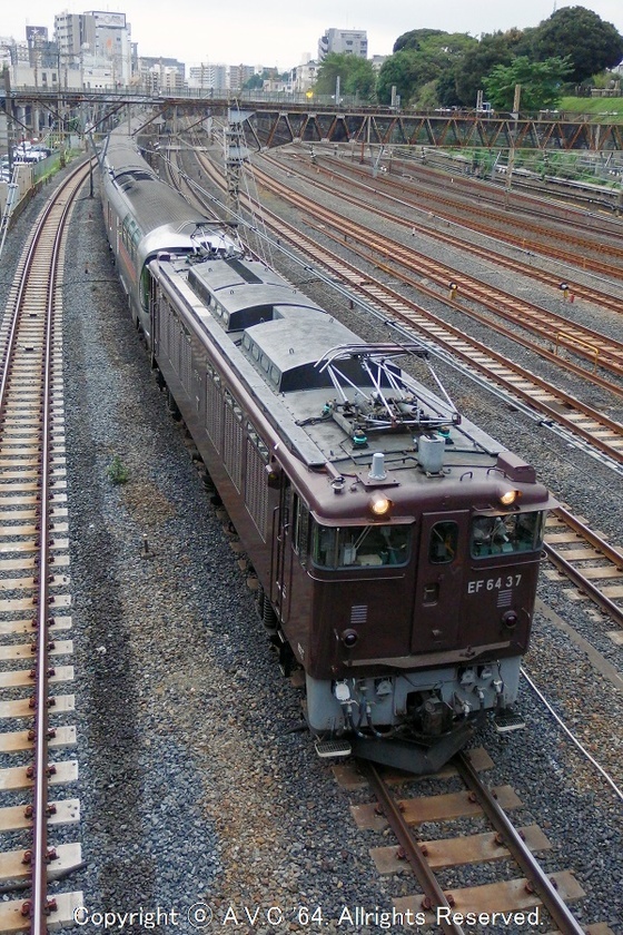 EF64（37号機）～茶色と青色 - A.V.C 64（Series181）