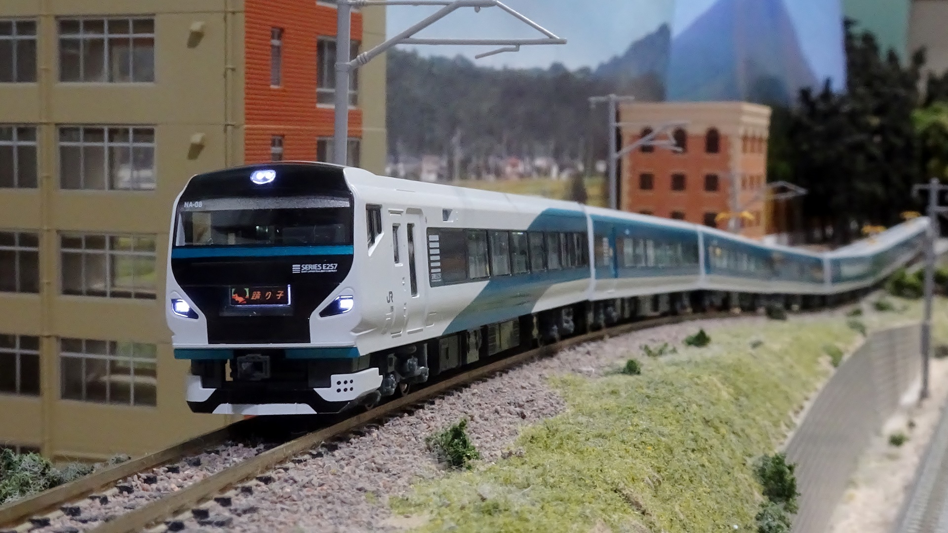 室内灯搭載】E257系2000番台「踊り子」ー半室グリーンは目立たせて（笑