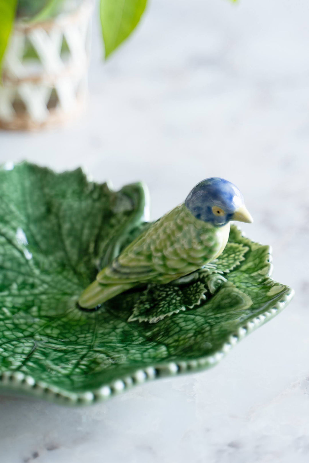 DSC07826_1080x.jpg?v=1688716086