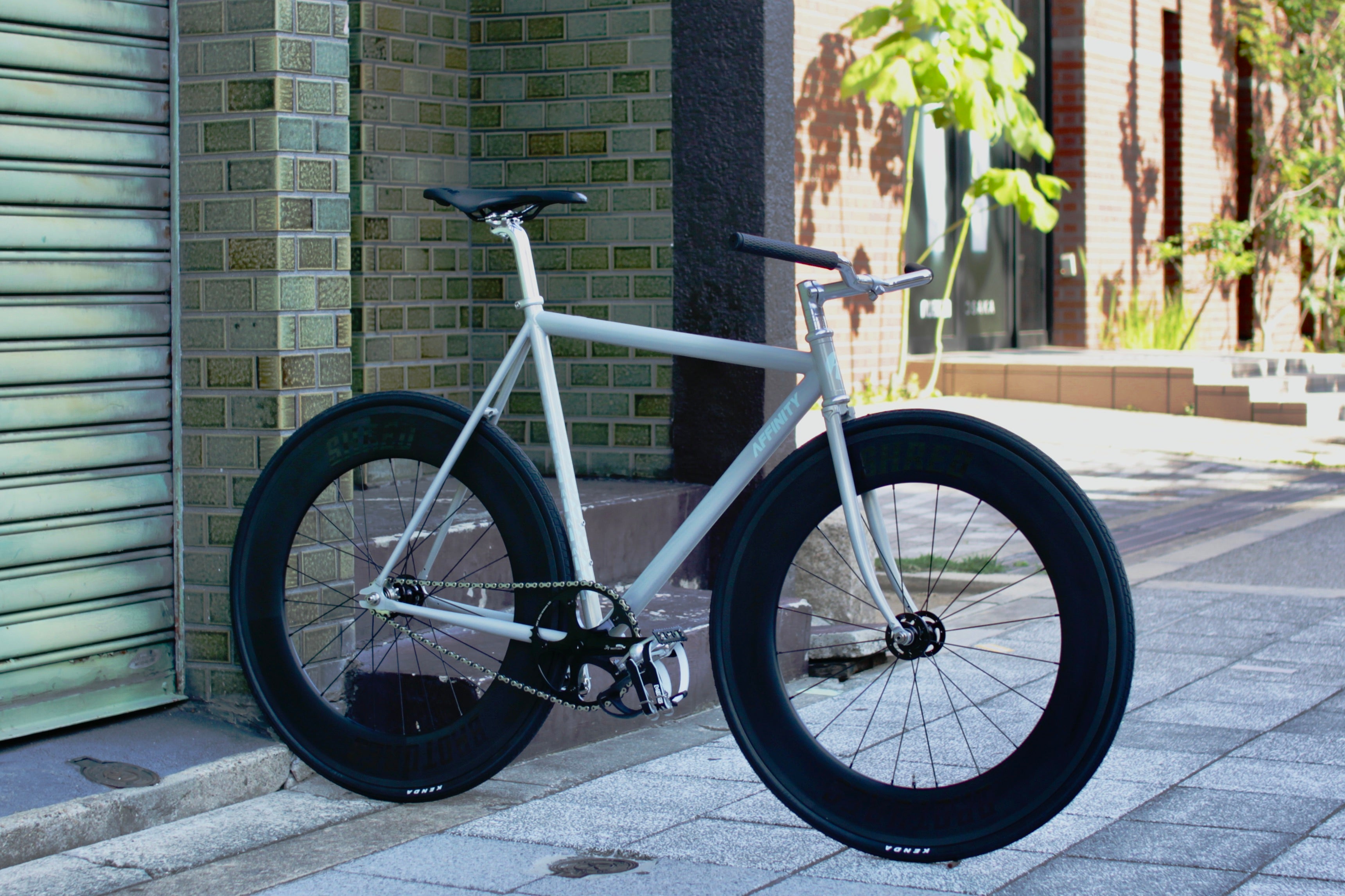 MG_8013.jpg?v=1720240301&width