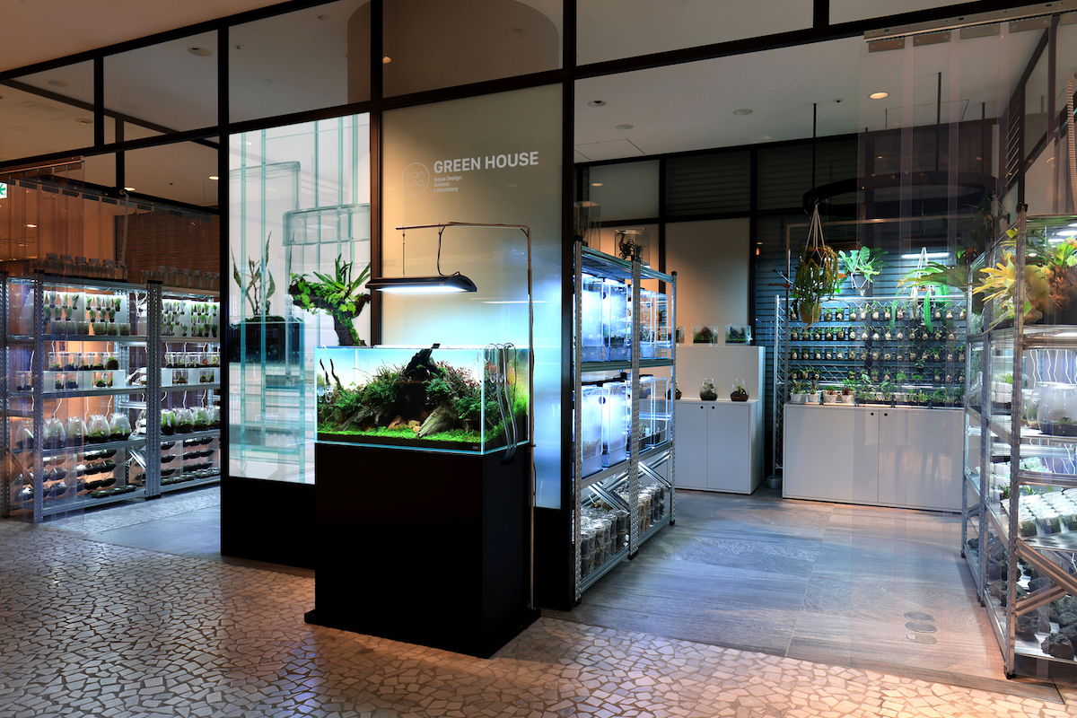 ガラスケースとLEDで植物を愛でる。未来のグリーンショップ〈ADA LAB