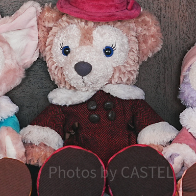 ダッフィーぬいぐるみバッジ（ダッフィー＆フレンズのウィンター