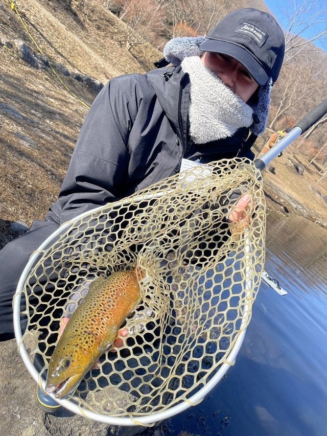 ダイワ スピニングリール 24セルテート FCLT2000S-P(FC LT2000S-P