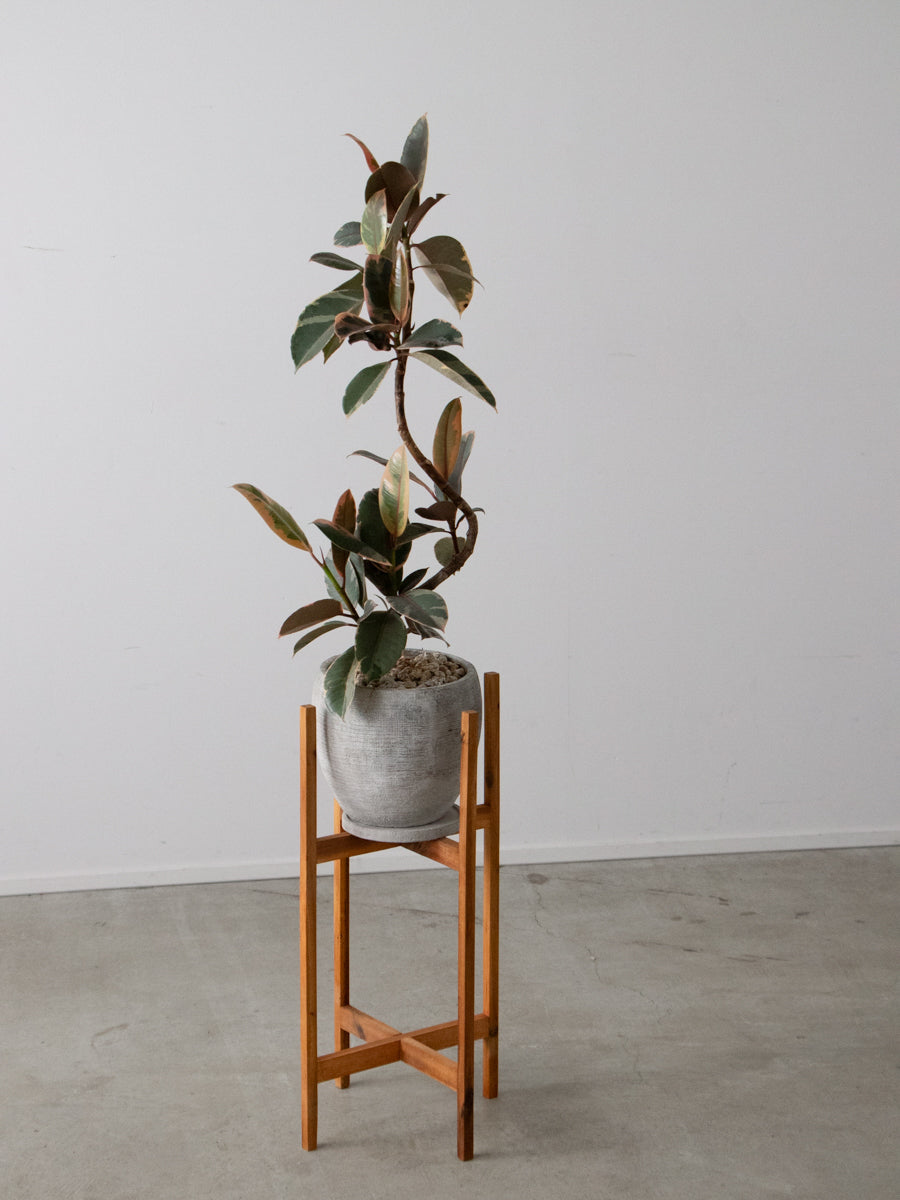 アカシア材ポットスタンドH60