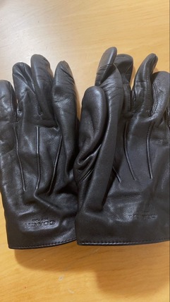 Coachx手袋(メンズ)の口コミ・レビュー｜サイズ感や使用感をチェック