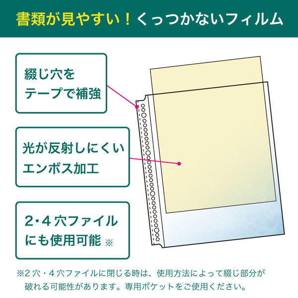 リヒトラブ(LIHIT LAB.) 30穴（4穴・2穴）クリヤーポケットA4 G49030 1