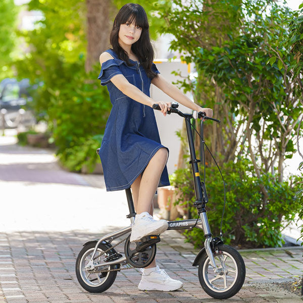池商 GRAPHIS GR-ALMIGHTY 災害対策用 折りたたみ自転車 シルバー GR