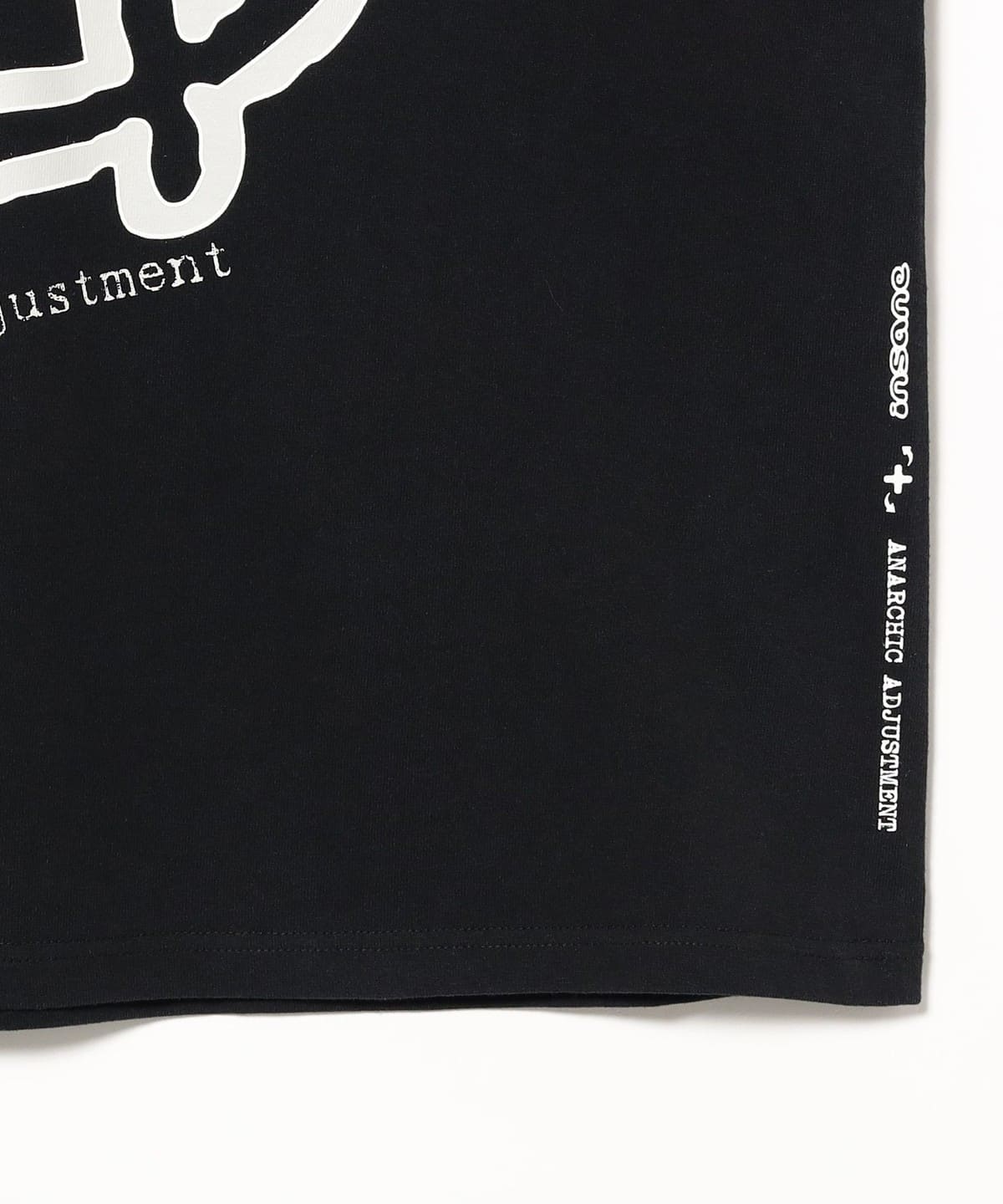 BEAMS T（ビームスT）insane × ANARCHIC ADJUSTMENT / Short Sleeve T