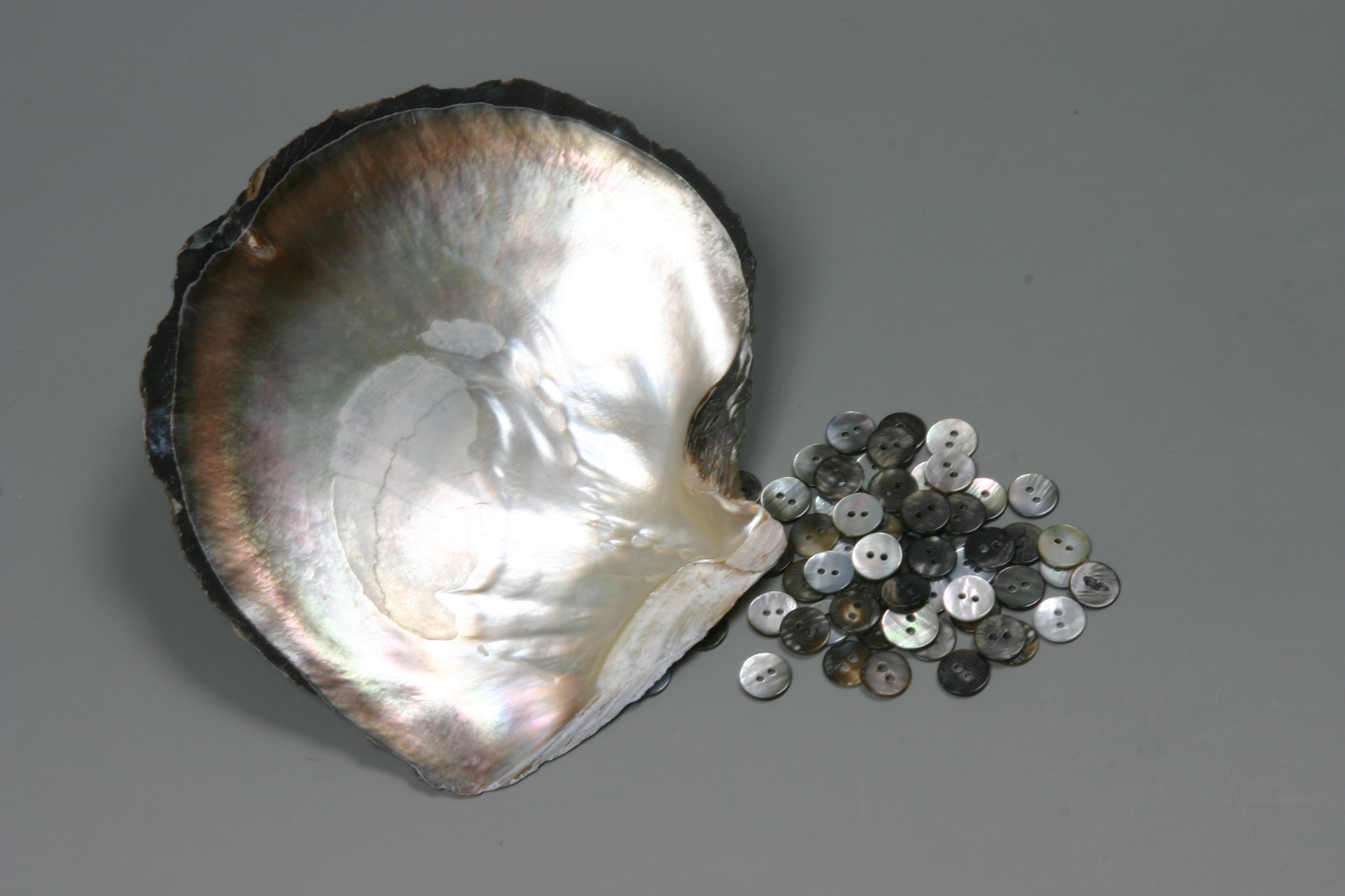 詳細情報 - 株式会社トモイ