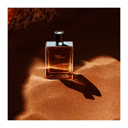 Hermès Terre D'Hermès Eau de Toilette | Deloox.com