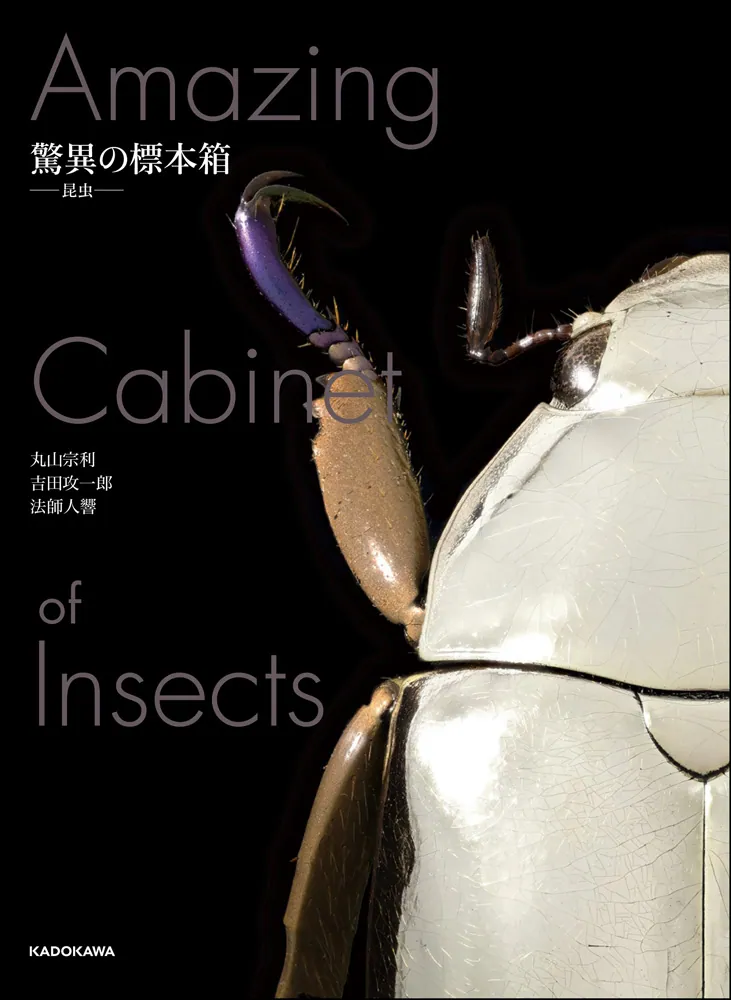 驚異の標本箱 －昆虫－」丸山宗利 [ノンフィクション] - KADOKAWA