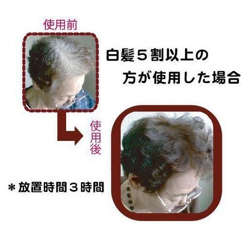 グリーンノート ヘナ ナチュラルブラウン｜【ハンズネットストア】