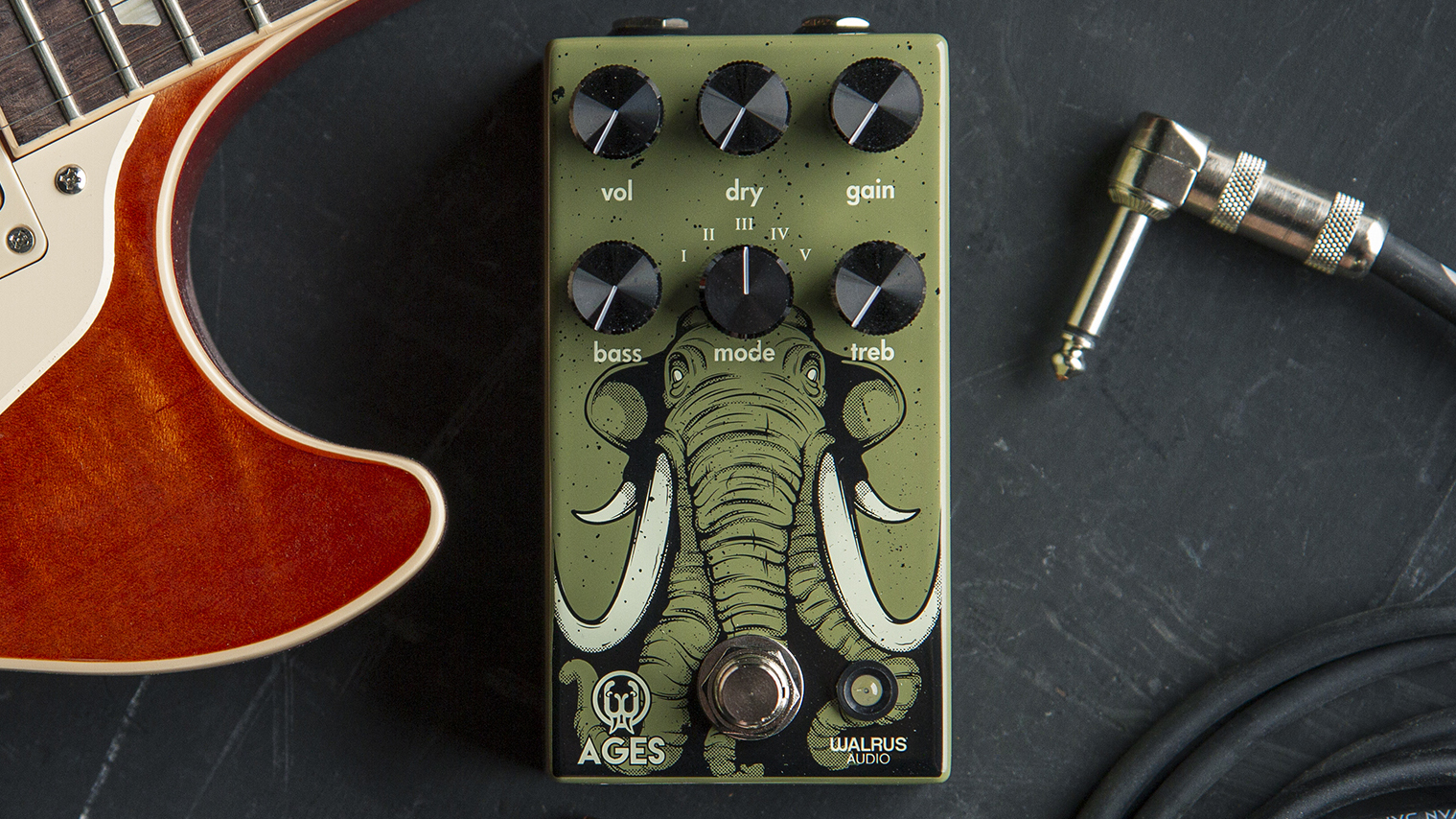 Walrus Eras Five-State Distortion review | MusicRadar