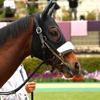 アーモンドアイ、史上初の「8冠」達成 天皇賞・秋を2連覇 [写真特集3/9