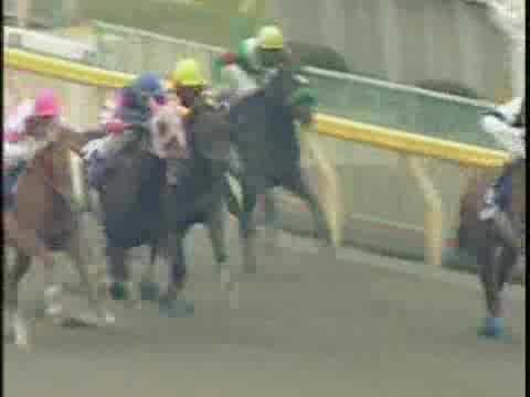 フェブラリーS レース結果 | 2000年2月20日 東京11R - netkeiba