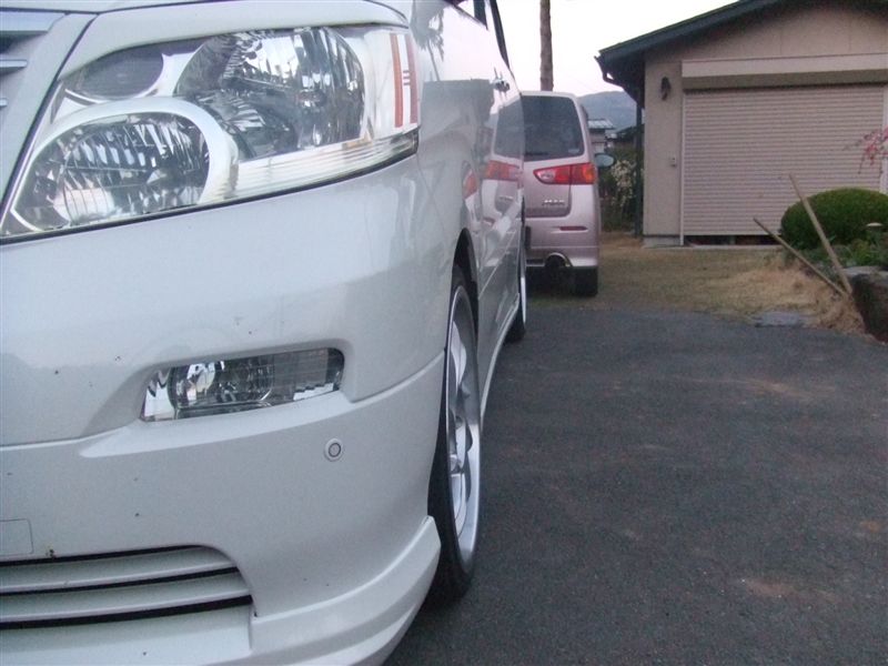 ロリンザールック 19インチアルミ（トヨタ アルファードV・10系）by