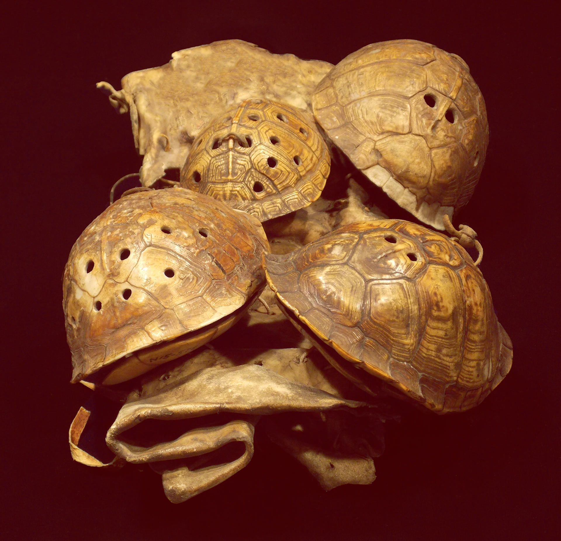 North American Indigenous Peoples Used Turtle Shells as Symbolic