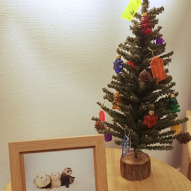 コンランショップ クリスマスツリーのおすすめ商品とおしゃれな実例