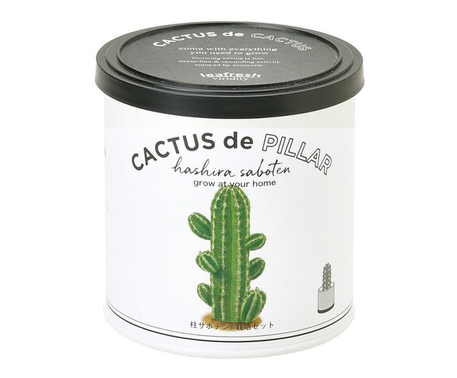 台湾 CACTUS de CACTUS サボテン植物栽培群（2種） 聖新陶芸 SEISHIN