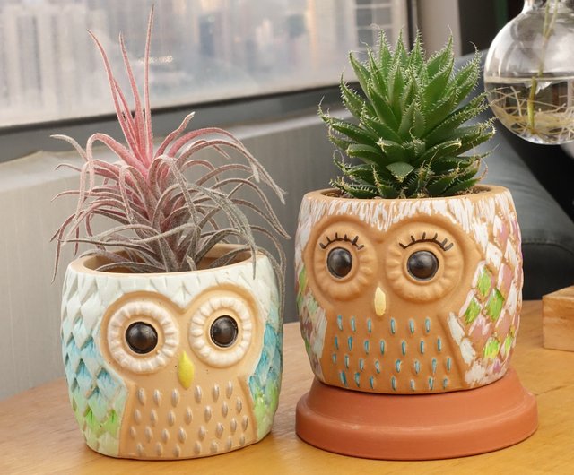 香港 陶器植木鉢 手描きDIYセット タイプC tt-garden - Pinkoi