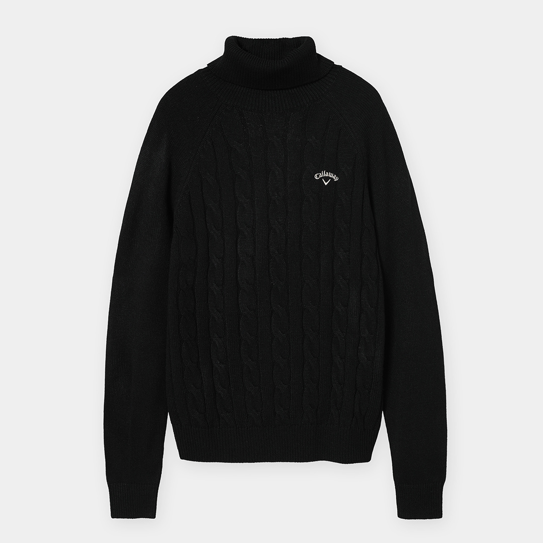 ケーブル編みタートルネックニット (WOMENS)