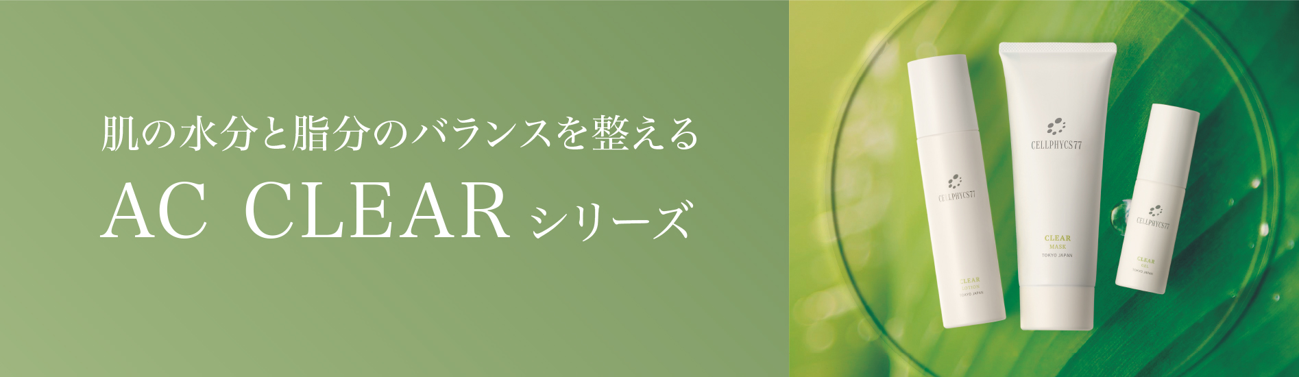 株式会社Cellphycs