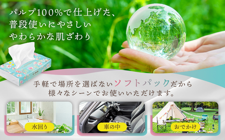 エリエール i:na（イーナ）ソフトパックティシュー 150W10P×10パック