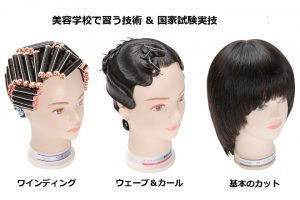 美容師国家試験】実技審査マニュアルについて‼ - 高崎ビューティモード