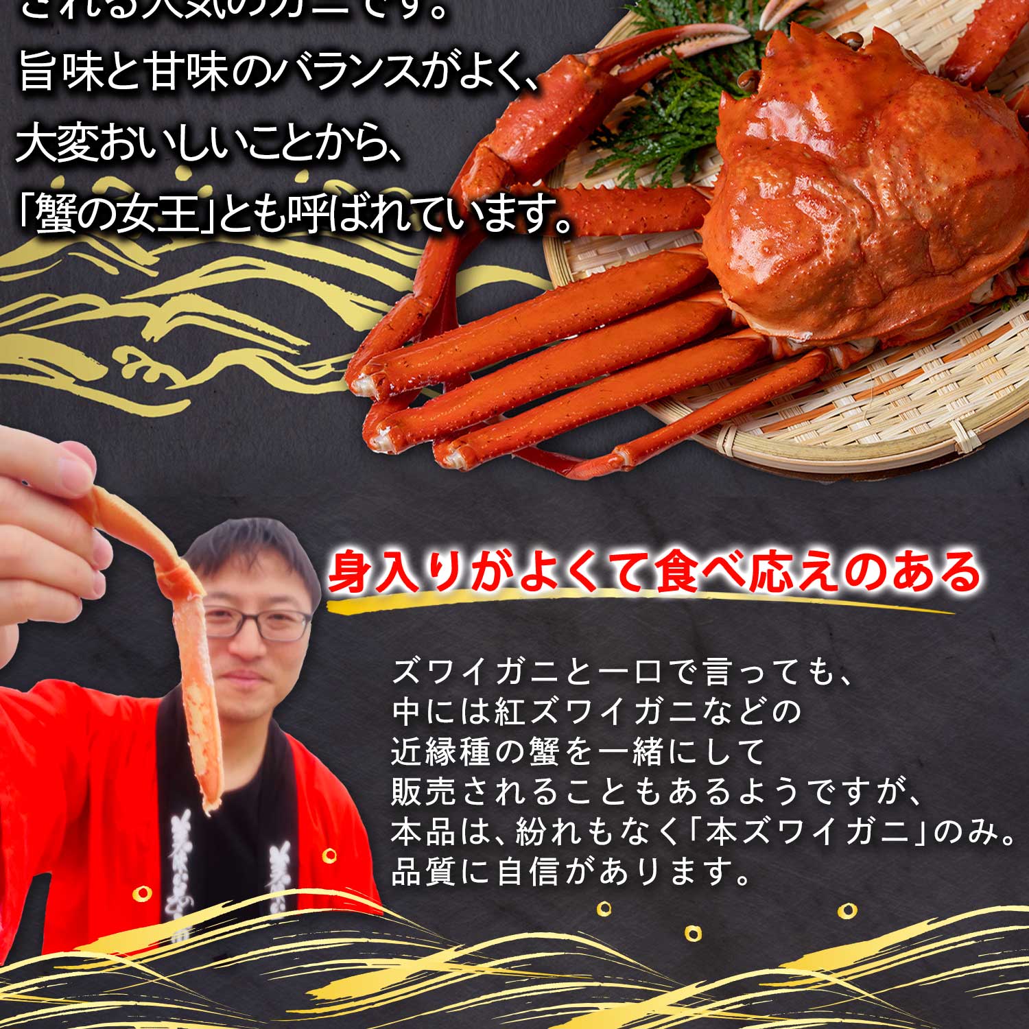 公式】 ギガ盛 MLサイズ 本ズワイ蟹脚 総重量5.0kg 23～27肩【クーポン