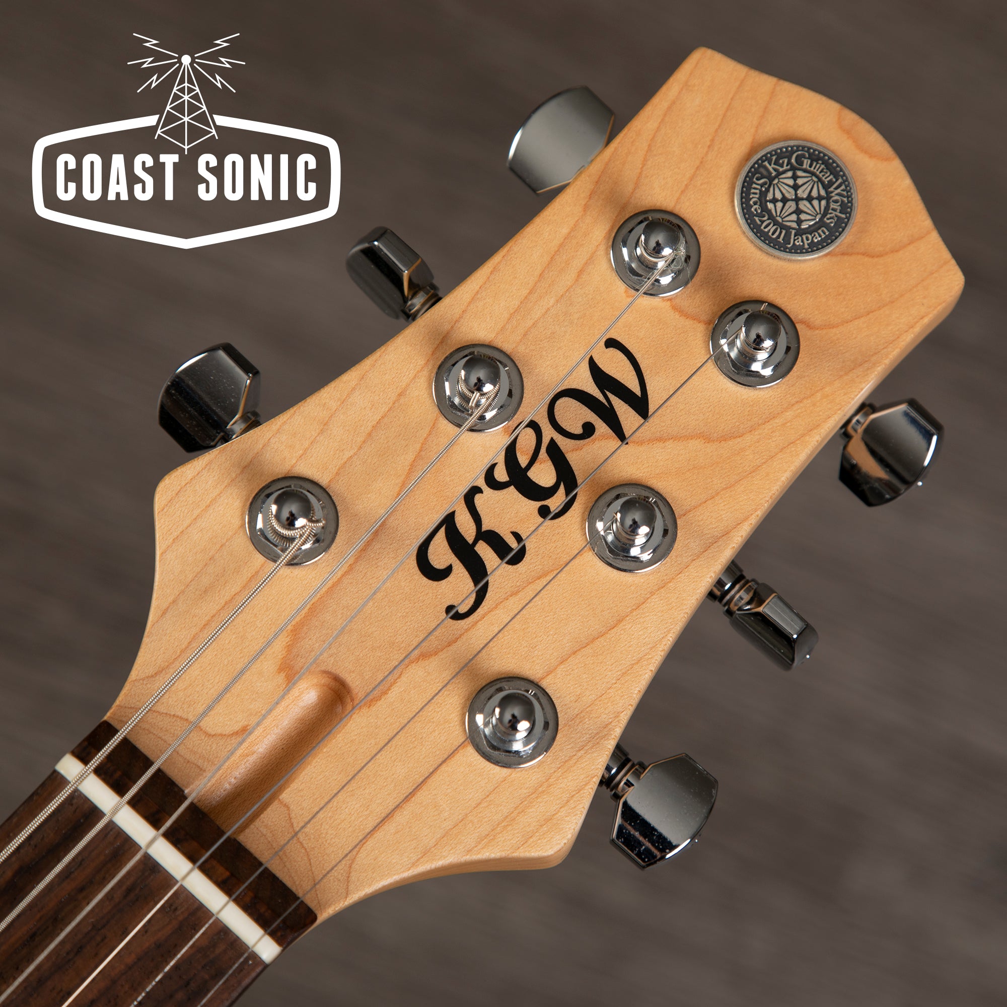 Kz Guitar Works KGW Bolt-On 22 2H6 