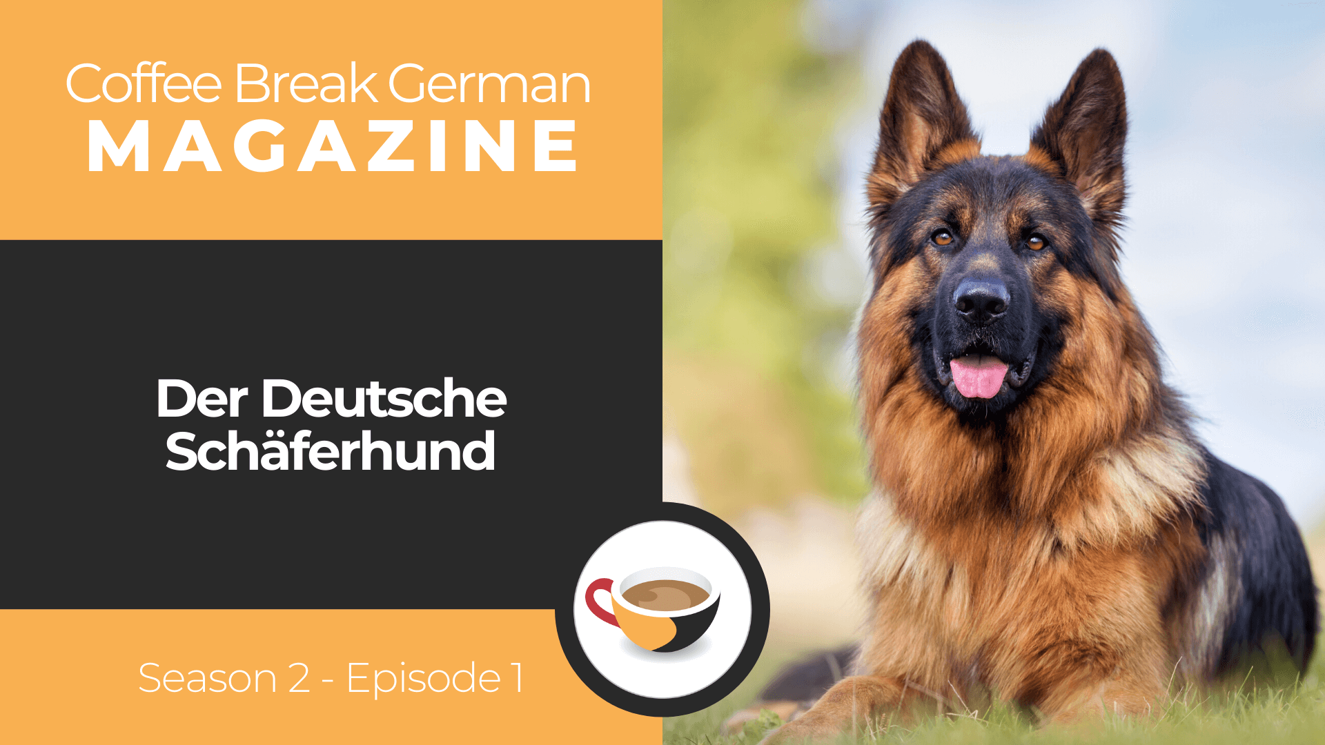 Germanshepherd＊1974〜・16×20・ Copen・ □Germanshepherd