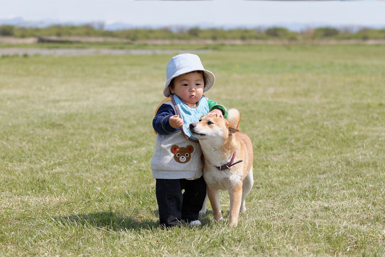 NID デリカテッセン 鶏旨ミニササミソーセージ｜ドラッグストアで