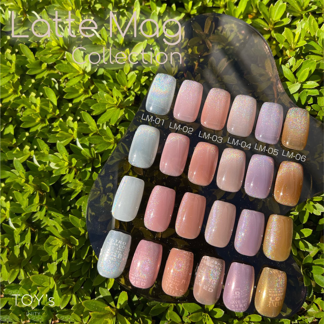 TOY's × INITY ラテマグコレクション 6色セット | TOY's × INITY