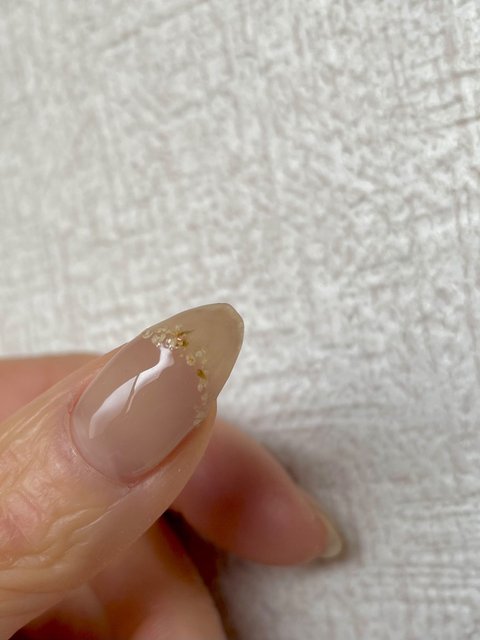 TOY＇s x INITY 極みベージュ | TOY's × INITY（トイズ