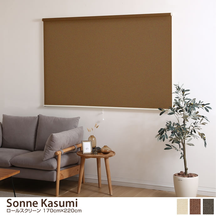 g62411]【170cm×220cm】 Sonne Washable ウォッシャブルタイプ ロール