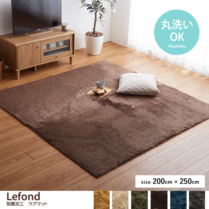 g132075]【130cm×185cm】Lefond 制菌加工 ラグマット ラグマット