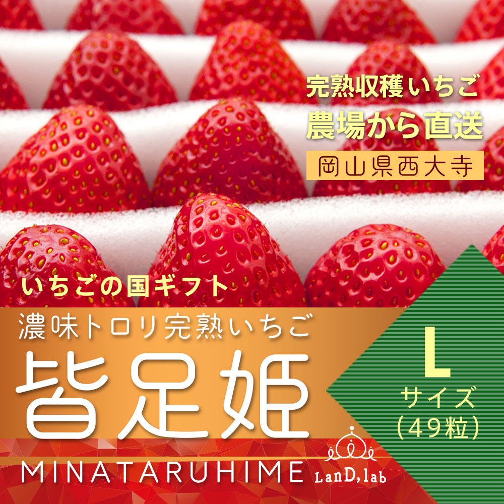 濃味トロリ完熟いちご『皆足姫』Lサイズ：Lminatarugift0101-0314