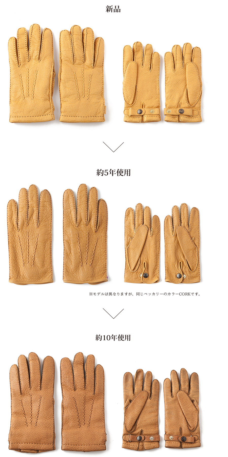 ペッカリーグローブの経年変化 - News | DENTS（デンツ）