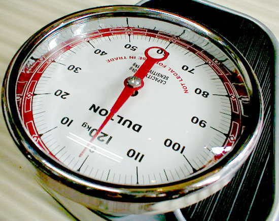 KaoriShimanuki様専用 DULTON ダルトン 体重計 バススケール 【公式通販】