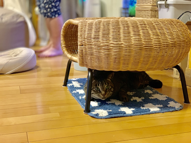 イケア発！「猫ちぐら」みたいな籐スツール「ガムレフルト」がわが家に