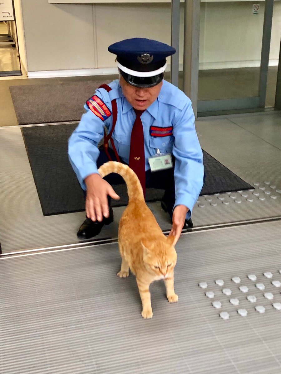 猫を優しく防御する美術館の警備員さん。すごく気になったので話を聞い