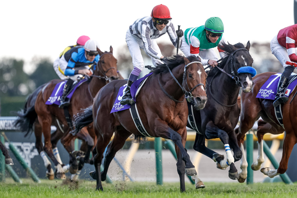 ジャパンカップ2024結果情報】武豊＆ドウデュースが秋古馬二冠を達成