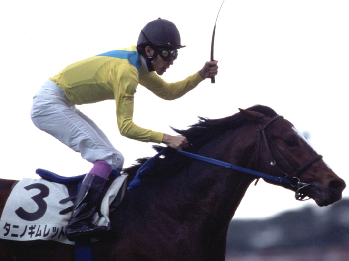 タニノギムレット】第69回日本ダービー／現地的中馬券(旧馬券) 第69回