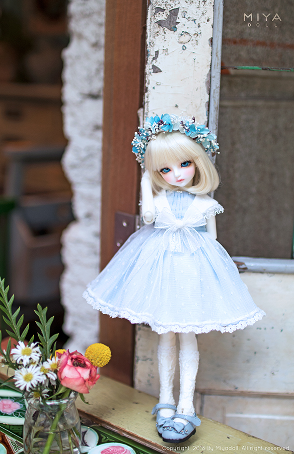 即納】【DOLK×MiyaDoll】BlueBell - Holiday｜DOLK（ドルク）