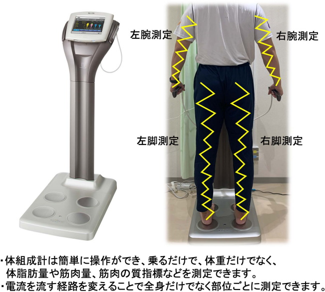 体組成計にのるだけで要介護化リスクの高い高齢者がわかる リスクの