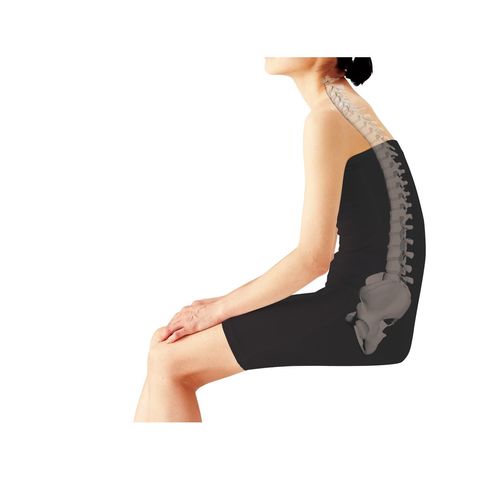 dショッピング |MTG 【即納】スタイル プレミアム Style PREMIUM 骨盤