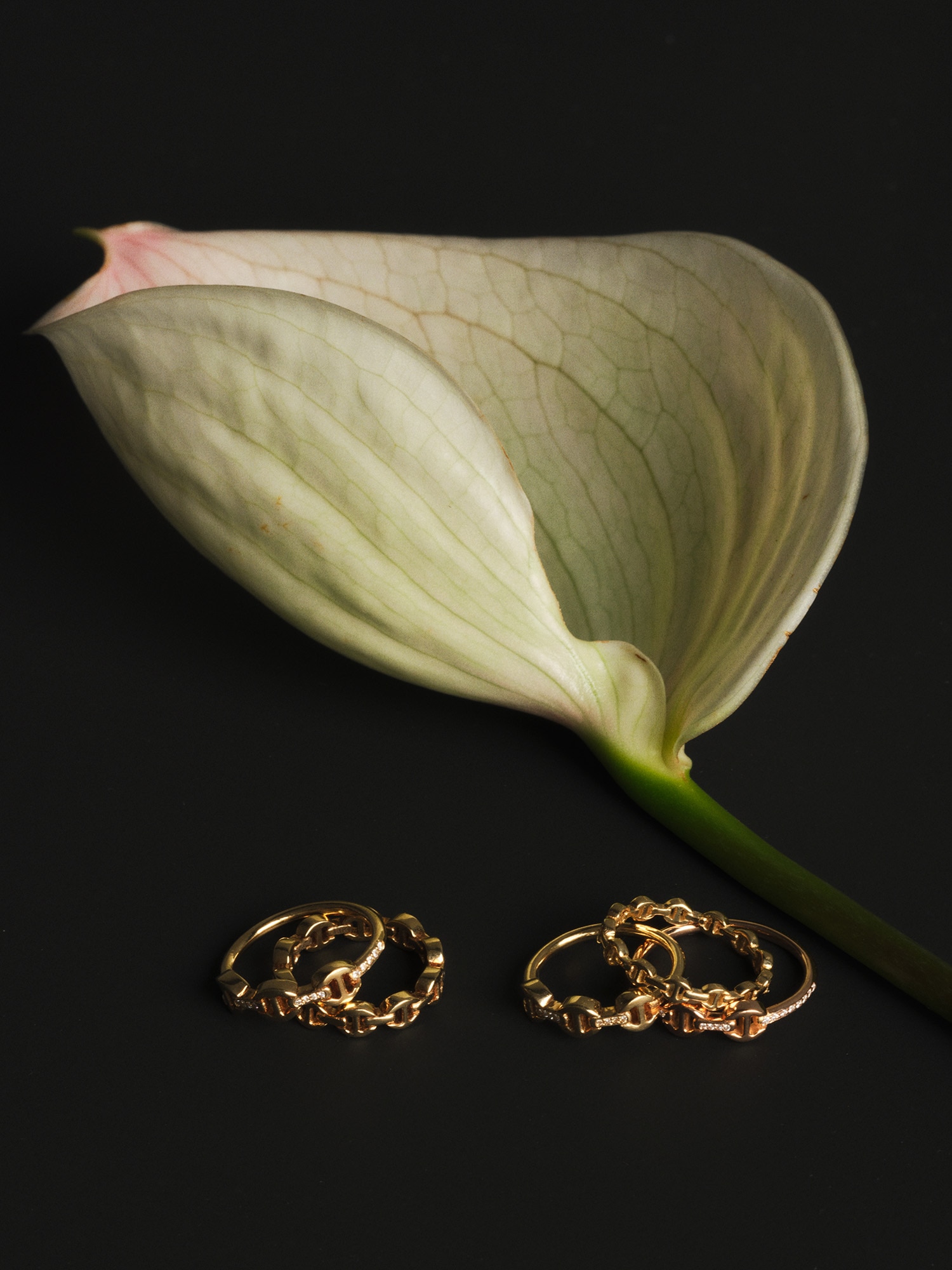 Look Preview vol.2】 | HOORSENBUHS(ホーセンブース)日本公式サイト