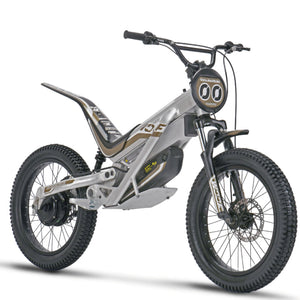 e-bike UENO｜バイク王 電動モビリティ専門店