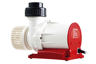 OCTO｜Lss Laboratory