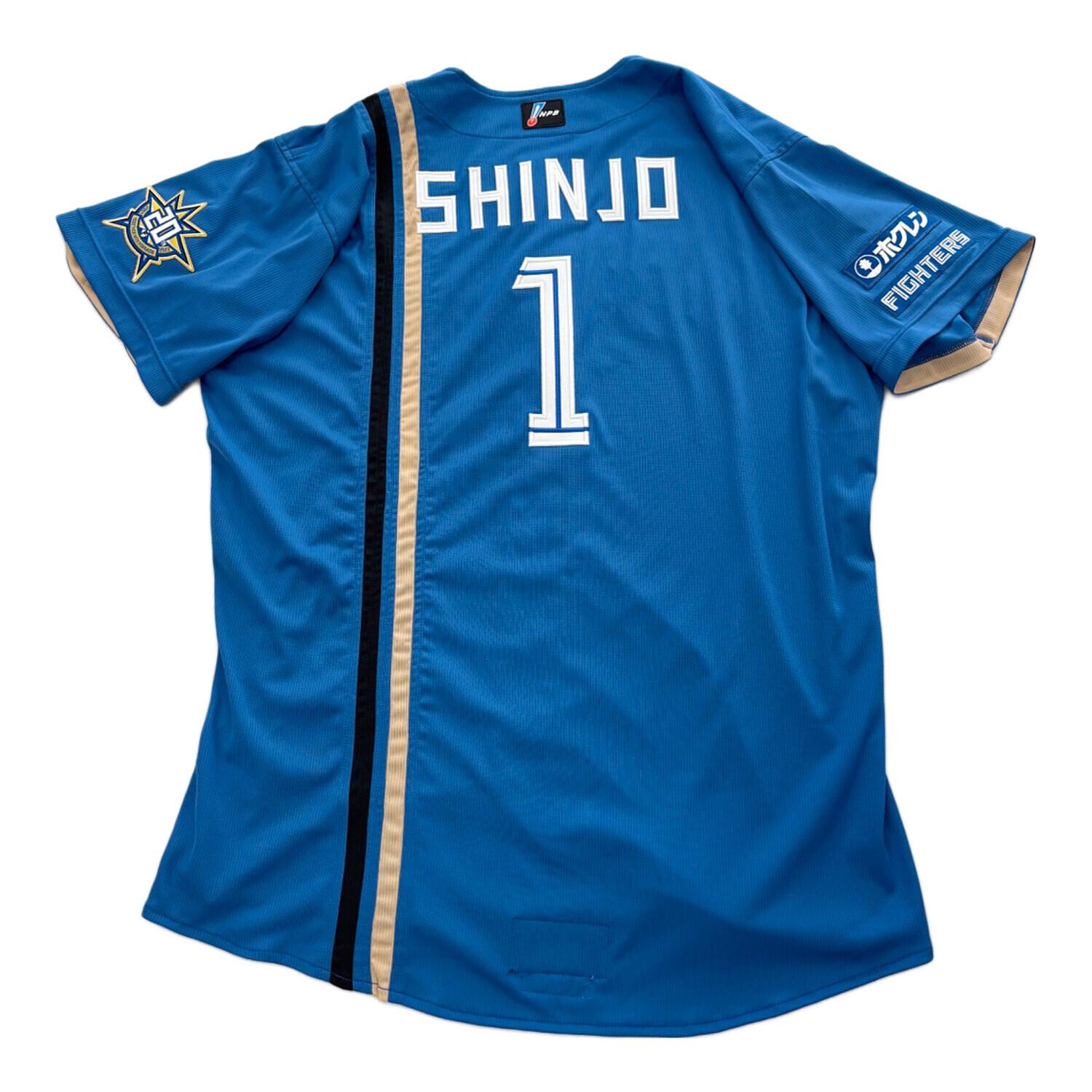 北海道日本ハムファイターズ (ホッカイドウニッポンハムファイターズ